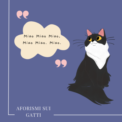 Frasi sui gatti: le più belle citazioni dai libri