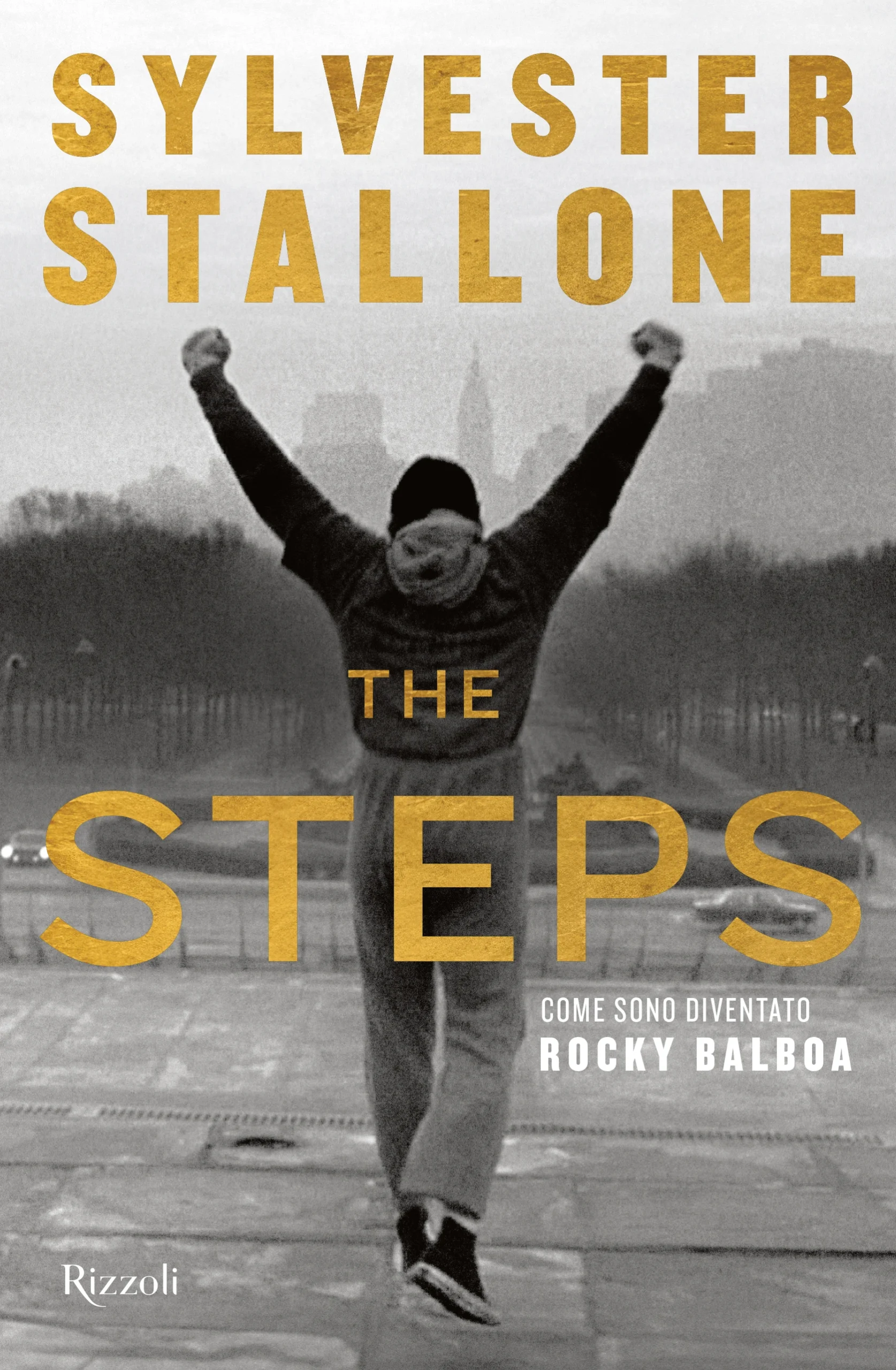 The steps